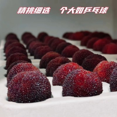 新鲜杨梅正宗浙江仙居东魁杨梅鲜果现摘现发当季时令孕妇水果图4