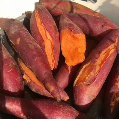 现货批发山东烟台烟薯25号红薯新鲜香甜沙地蜜薯烤地瓜5斤 装流油图3