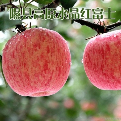 【一件代发】陕西延安苹果75以上通货整箱10斤装平果应季脆红富士图2