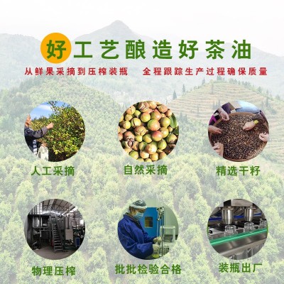 全桂5L食用植物油 压榨山茶油茶籽油 厂家直供源头产地食用植物油图4