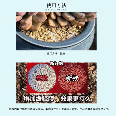 肉大叔3%呋虫胺dx内吸颗粒小白药50g（本店还批零多肉花卉防虫药图4
