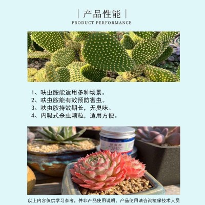 肉大叔3%呋虫胺dx内吸颗粒小白药50g（本店还批零多肉花卉防虫药图3