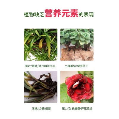 15-15-15多肉花卉三元复合肥缓释颗粒氮磷钾园艺花肥料家用250g图3