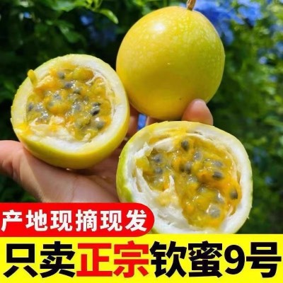 江西赣南钦密9号黄金百香果图2