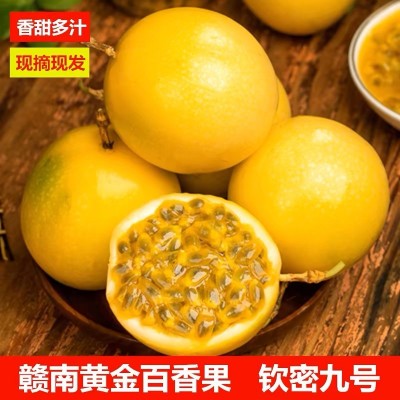 江西赣南钦密9号黄金百香果图3
