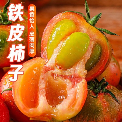 铁皮草莓柿子新鲜东北柿子水果番茄自然熟绿腚西红柿5斤顺丰包邮图5