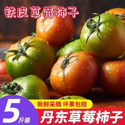 铁皮草莓柿子新鲜东北柿子水果番茄自然熟绿腚西红柿5斤顺丰包邮图4