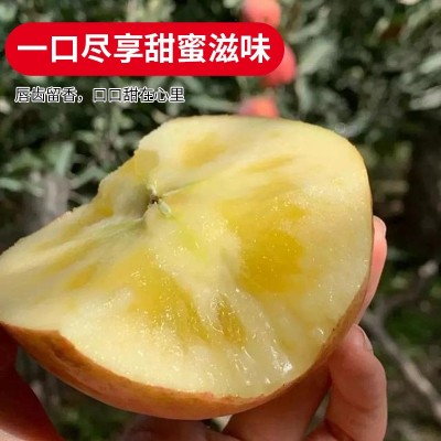 新疆阿克苏冰糖心苹果水果特级大果新鲜丑苹果整箱10斤顺丰包邮图4