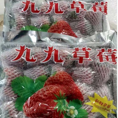 丹东99草莓新鲜应季水果奶油大果东港红颜牛奶草莓顺丰包邮大草莓图5