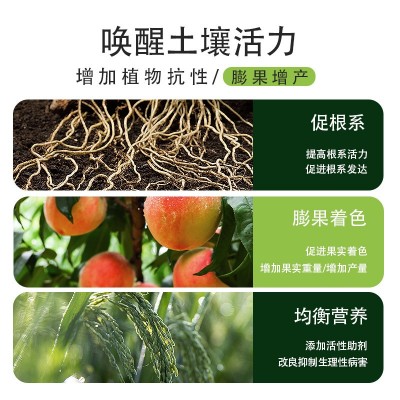 矿源黄腐酸水溶肥料 新疆腐殖酸叶面肥料 生物有机肥 农用正品图4