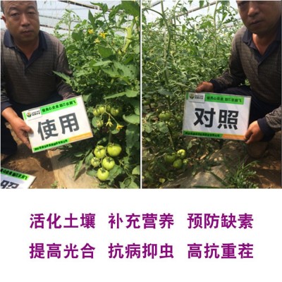 硅钙镁钾矿物肥中量元素肥料特别添加硝态氮免深耕土壤改良调理剂图5