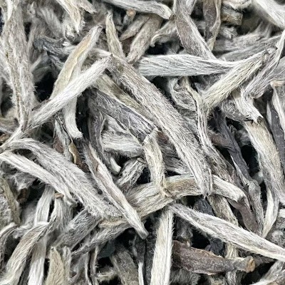 福鼎老白茶白毫银针白毛厚实银针肥壮 老银针500g散装批发图2