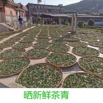 铁观音茶叶批发散装 2500克/5斤 福建厂家直供便宜量大正 宗乌龙茶图3