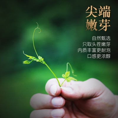 平利绞股蓝 精品二级精选野生绞股蓝龙须250g袋装甘味图5