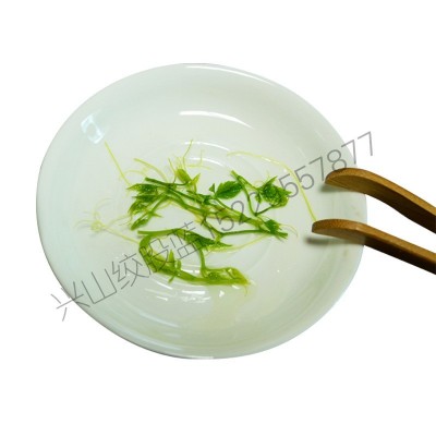 农业部绞股蓝茶叶批发 五叶平利绞股蓝茶龙须批发 绞股蓝茶500g图4