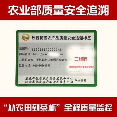 农业部绞股蓝茶叶批发 五叶平利绞股蓝茶龙须批发 绞股蓝茶500g图2