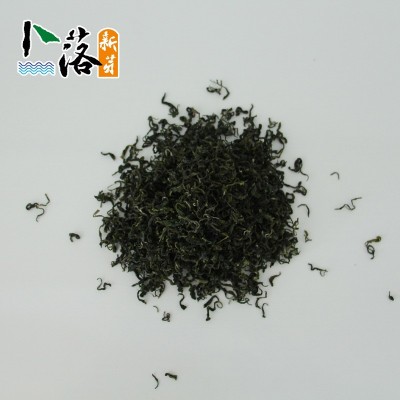 山东日照绿茶新茶2024年 一芽二叶春茶 日照特产绿茶礼品茶叶批图4