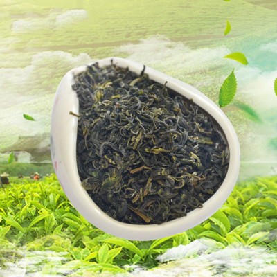 2024 新茶山东日照绿茶 日照巨峰卜落绿茶厂家供应批发价格图1