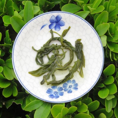 四川绿茶知茶人250克袋装蒙山毛峰 绿毛峰新茶绿茶滋味厚重零售图4