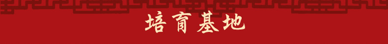 详情_12