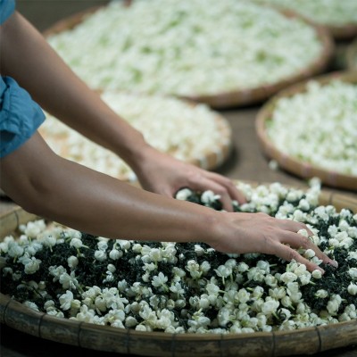 周顺来 浓香型 碧潭茉莉飘雪 茉莉花茶 奶茶原料 厂家 20斤装图2