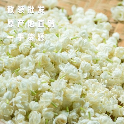周顺来茉莉花干 干花散装 横县源头厂家 茉莉雪球 5月中旬上新花图3