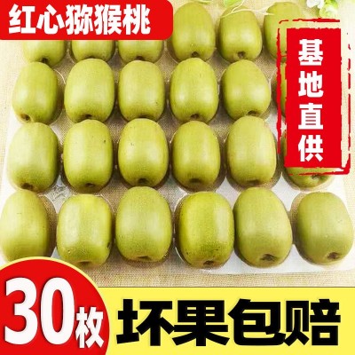 猕猴桃现摘正宗四川蒲江红心应当季弥胡奇异泥浦孕妇新鲜大水果图3