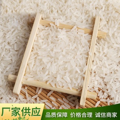 厂家批发玉倩 软香大米 农家基地包装5KG10KG/15KG/25KG 精诚食品图3