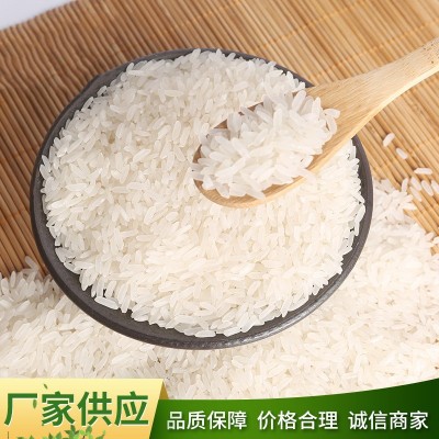 厂家批发玉倩 软香大米 农家基地包装5KG10KG/15KG/25KG 精诚食品图5