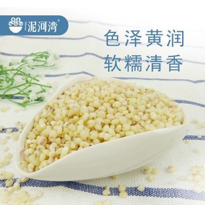 泥河湾有机高粱米400g去皮脱皮高粱仁当年新米农家特产五谷杂粮图2