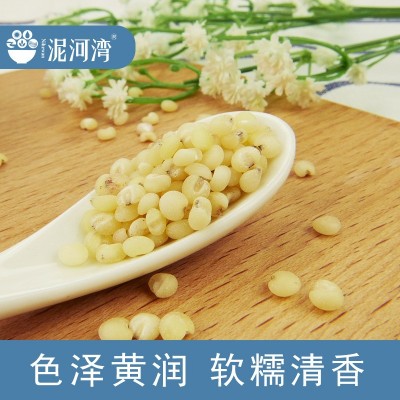 泥河湾有机高粱米400g去皮脱皮高粱仁当年新米农家特产五谷杂粮图4