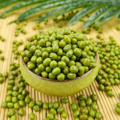 有机绿豆450g鲜农家自种绿豆粥绿豆汤豆芽新豆五谷杂粮泥河湾批发图4