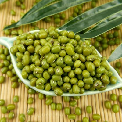 有机绿豆450g鲜农家自种绿豆粥绿豆汤豆芽新豆五谷杂粮泥河湾批发图2