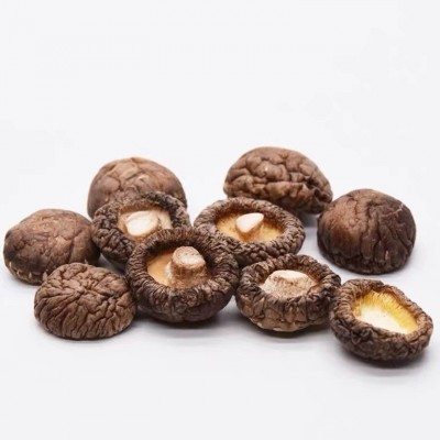 现货批发 干货香菇500g 产地货源 干香菇 花菇 商用 家用图4