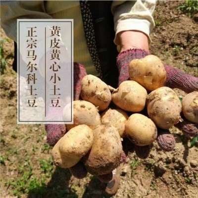 （产地直发）新鲜恩施小土豆正宗马尔科恩施农家自种蔬菜恩施大型图3