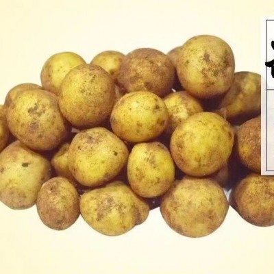 （产地直发）新鲜恩施小土豆正宗马尔科恩施农家自种蔬菜恩施大型图4