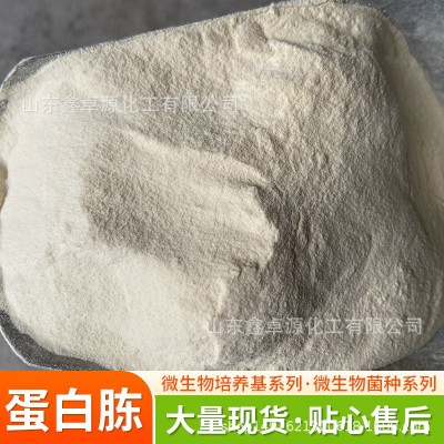 牛骨蛋白胨 生化试剂 微生物发酵氮源 培养基 蛋白胨图3