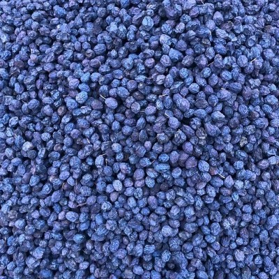 新疆酸梅干非蜜饯天山无蔗糖无添加孕妇休闲展会供货零食酸梅干图5
