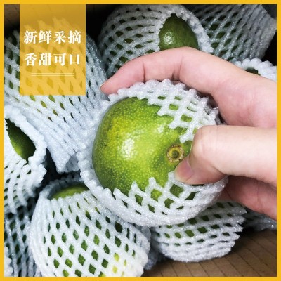 酸甜爽口新鲜采摘自家果园早熟橘子无籽好剥自家果园现摘现发图2