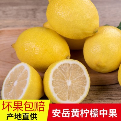 四川安岳新鲜柠檬泡茶奶茶店柠檬茶新鲜泡水喝饮品5斤整箱中大果图2