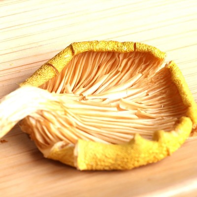 鸡油菌批发云南特产鸡油黄干货榆黄蘑黄金菇人工鸡油菌煲汤食材图5