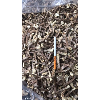 鹿茸菇干货批发鹿茸菌新货无硫食用菌煲汤火锅食材干度好古田菌菇图5