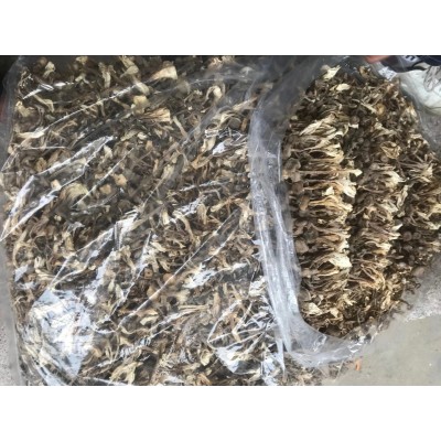 鹿茸菇干货批发鹿茸菌新货无硫食用菌煲汤火锅食材干度好古田菌菇图4