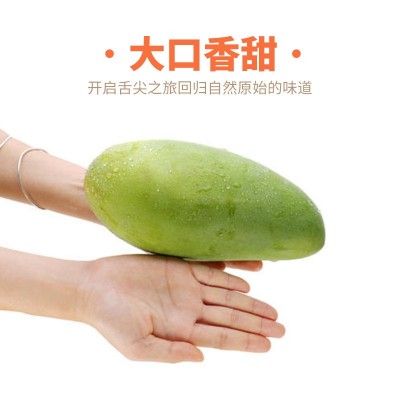广西芒果树上熟金煌芒小果平板纸箱礼盒装非贵妃芒大青芒新鲜水果图3