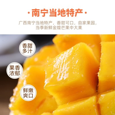 广西芒果树上熟金煌芒小果平板纸箱礼盒装非贵妃芒大青芒新鲜水果图4