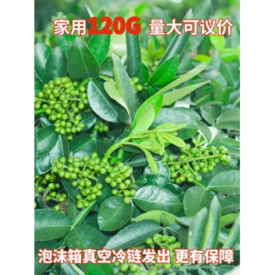 四川特产新鲜青花椒食用特麻重庆江津九叶青藤椒120g麻椒调味品图2