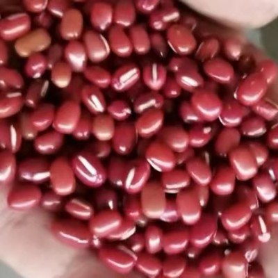 东北特产红豆宝清红豆精选品种红小豆真空包装480克/件产地发货图3