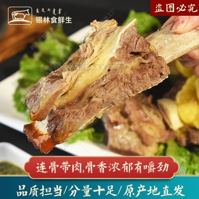 黄膘牛排原切牛排骨新鲜牛肋排锡盟草原牛肉内蒙手把牛排商用批发图3