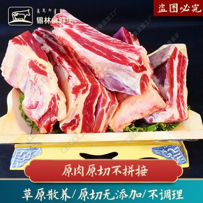 黄膘牛排原切牛排骨新鲜牛肋排锡盟草原牛肉内蒙手把牛排商用批发图5