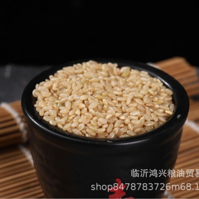 厂家批发五谷杂粮磨粉原料散装东北特产糙米 粗粮原粮熬粥糙米图4